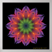 Mandala de Lotus du feu Poster