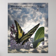 Manière de papillon - 06 vous univers affiche
