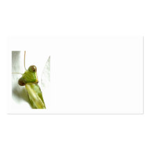 Mantids Cartes De Visite Professionnelles