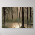 Marais du Montana Affiches