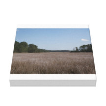 Marais Toile Tendue