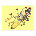 Marchandises de Valentine de singe de chaussette cartes postales