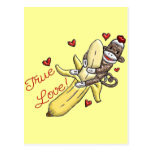 Marchandises de Valentine de singe de chaussette cartes postales