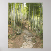 Marche avec le bambou affiches