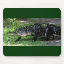 Marche d'alligator tapis de souris