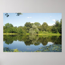 mare aux canards poster