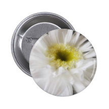 Marguerite 13 de Gerbera Badge