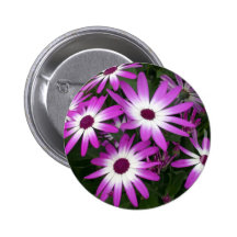 marguerite de fleur badges avec agrafe