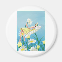 Marguerite des prés magnets