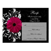 Marguerite fuchsia de Gerbera de rouleau avec noir Carte Postale