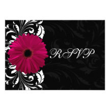 Marguerite fuchsia de Gerbera de rouleau avec noir Faire-parts