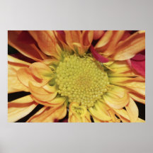 Marguerite jaune sur la copie de toile affiche