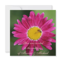 Marguerite peinte par rose invitations
