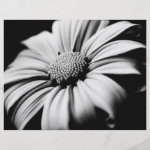 Marguerite Prospectus Personnalisés