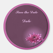 Marguerite rose-foncé magnets pour réfrigérateur