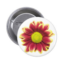 Marguerite rouge badges