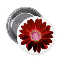 Marguerite rouge pin's avec agrafe