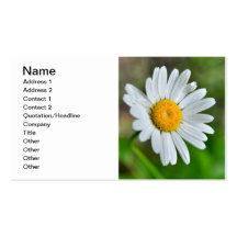 MARGUERITE SPRIN des FLEURS SAUVAGES Marguerite-wi Cartes De Visite Personnelles