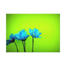 Marguerite Toile Tendue