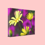 Marguerites à l'arrière-plan violet sur la toile impressions sur toile