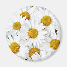 Marguerites Aimants