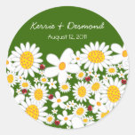 Marguerites blanches et coccinelles épousant l'aut