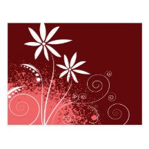 Marguerites blanches sur le rose et le rouge carte postale