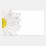 Marguerites customisées par arrière - plan de fleu autocollant rectangulaire