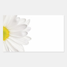 Marguerites customisées par arrière - plan de fleu autocollant rectangulaire