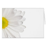 Marguerites customisées par arrière - plan de fleu cartes de vœux