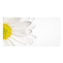 Marguerites customisées par arrière - plan de fleu carte avec photo
