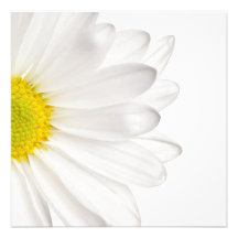 Marguerites customisées par arrière - plan de fleu invitation