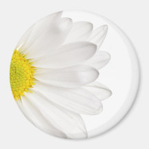 Marguerites customisées par arrière - plan de fleu aimants pour réfrigérateur