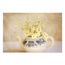 Marguerites dans une théière photo sur toile