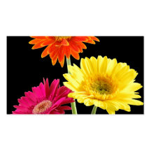 Marguerites de Gerbera Modèles De Cartes De Visite