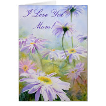 Marguerites géantes carte