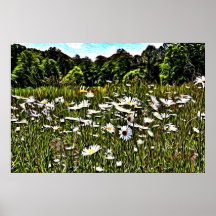 "Marguerites " Affiche
