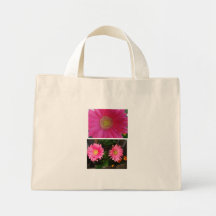 Marguerites roses de Gerbera Sacs