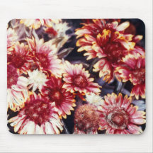 Marguerites roses Mousepad de Gerbera Tapis De Souris