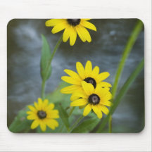 Marguerites Tapis De Souris