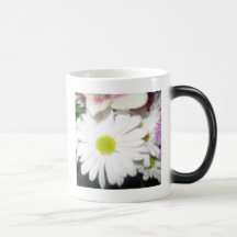 Marguerites Tasses