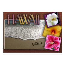 Mariage de destination - Hawaï Carte Postale