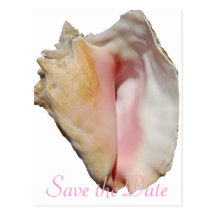 Mariage de plage de conque de coquillage cartes postales