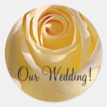 Mariage de Seal_Cream Rose_Our de faire-part de ma Autocollant Rond