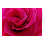 Mariages roses faits sur commande roses de cartes 
