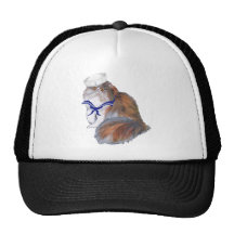 Marin de chat persan de calicot casquettes