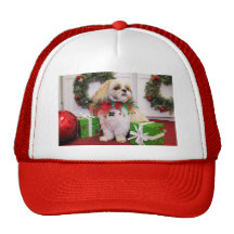 Marley - Shih Tzu - Robbins Casquette