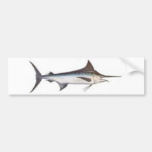 Marlin bleu adhésif pour voiture