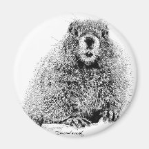 Marmot Aimant
