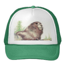 Marmot mignon, nature, faune, animal casquette de camionneur
